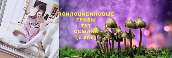 тгк Баксан
