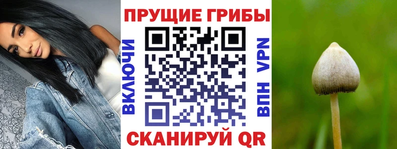 Псилоцибиновые грибы Cubensis  МЕГА вход  Усть-Кут 